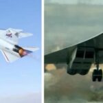 La falacia del Concorde: una revisión crítica