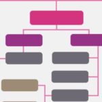 Organigrama Mixto: Estructura y Funcionamiento